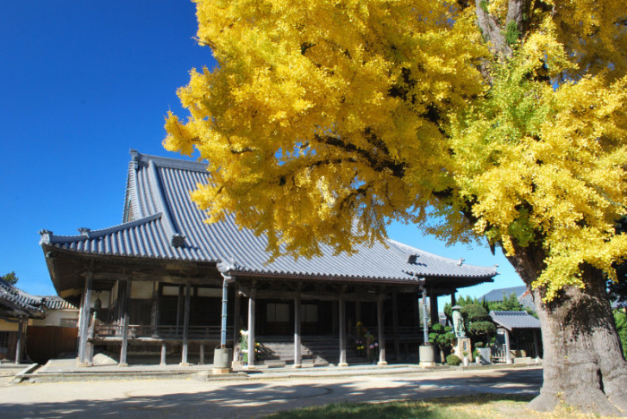 日高別院