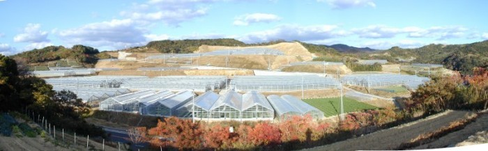 野島ハウス
