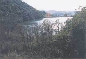 新池