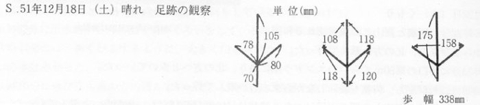足跡の観察結果画像