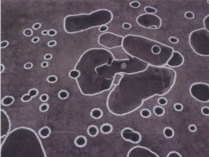 溶炉遺構と覆屋根
