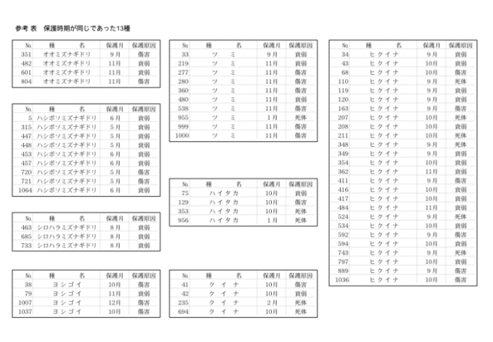 参考資料1枚目