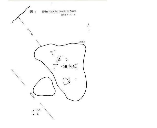 図1蜑取島(弁天島)のひな及び巣分布巣略図