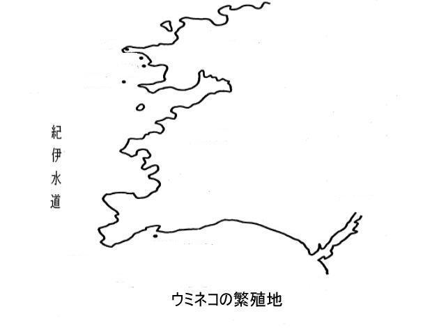 ウミネコ繁殖地の周辺地図