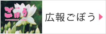 広報ごぼう