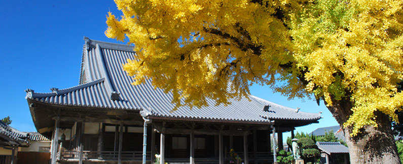 日高別院