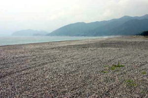 煙樹ヶ浜の写真4枚目