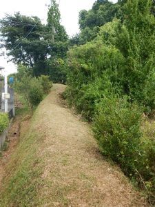 愛徳山王子北東参詣道