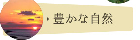 豊かな自然